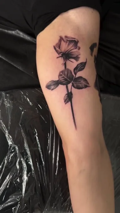 Fine Line Tattoo Hamburg - Fine Line Rose Unterarm