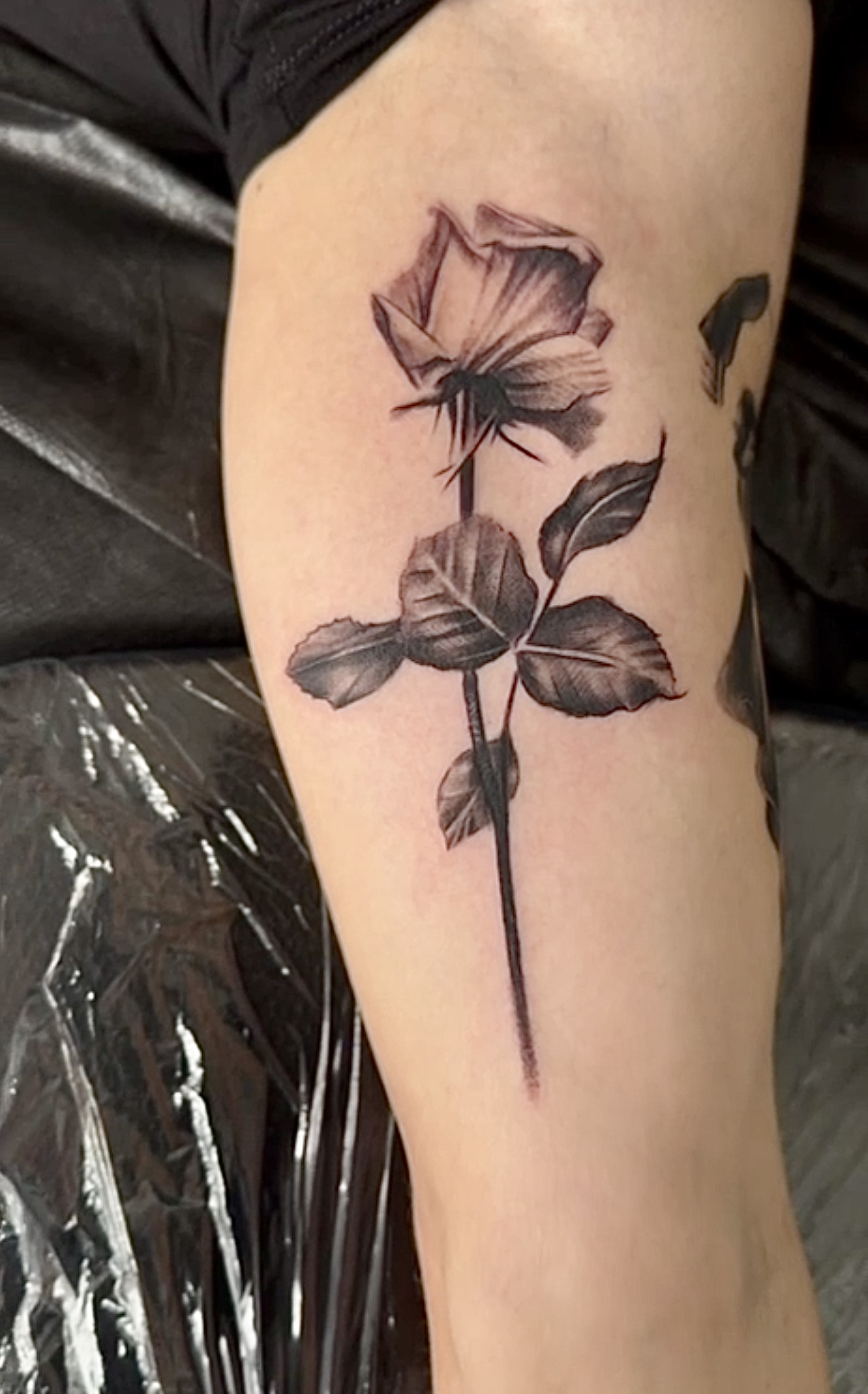 Tattoo Hamburg Studio